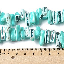 Dyed Natural Trochus Shell Beads Strands&nbsp;X-SSHEL-C013-09M