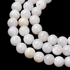 Natural Freshwater Shell Beads Strands&nbsp;SH-CBA2978-07D-04