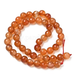 Dyed & Heated Natural Agate Beads Strands&nbsp;G-P539-D01-10
