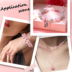 1830Pcs 5 Styles ABS Plastic Imitation Pearl Beads&nbsp;OACR-SP0001-01A