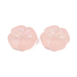 Frosted Transparent Acrylic Beads&nbsp;X1-OACR-P029-19B-02
