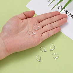 925 Sterling Silver Hoop Earrings&nbsp;STER-P032-06S