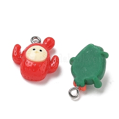 Cute Animal Theme Opaque Resin Pendants&nbsp;RESI-B044-15P