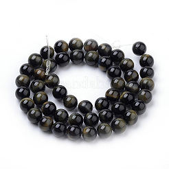Natural Tiger Eye Beads Strands&nbsp;G-S259-22-10mm