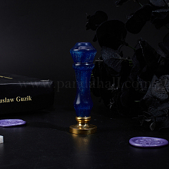 Natural Quartz Crystal Handle&nbsp;DIY-WH0224-87E
