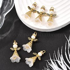 30Pcs Acrylic Pendants&nbsp;PALLOY-JF03902