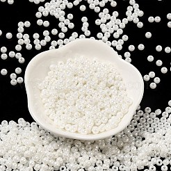 Glass Seed Beads&nbsp;SEED-H002-E-A121
