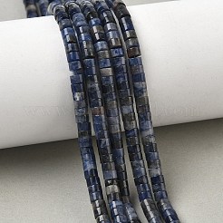 Natural Sodalite Beads Strands&nbsp;G-H230-10