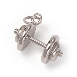 304 Stainless Steel Pendants&nbsp;STAS-I132-07