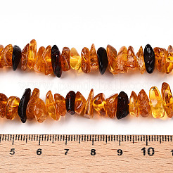 Natural Amber Beads Strands&nbsp;G-T138-235E
