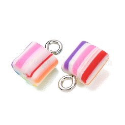 Handmade Polymer Clay Charms&nbsp;CLAY-C008-03