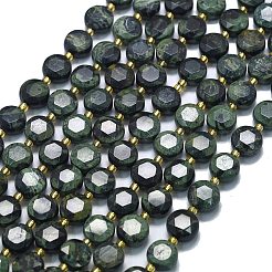 Natural Green Kambaba Jasper Beads Strands&nbsp;G-C116-A126-01