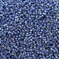 MIYUKI Delica Beads&nbsp;SEED-X0054-DB2517
