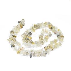 Natural Gold Rutilated Quartz Chip Bead Strands&nbsp;G-M205-18