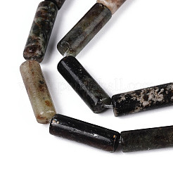 Natural Biotite Beads Strands&nbsp;G-T141-74