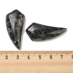 Natural Labradorite Pendants&nbsp;G-M417-04B
