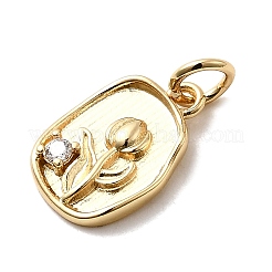 Brass Micro Pave Cubic Zirconia Charms&nbsp;KK-H089-09G