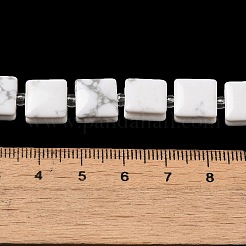 Natural Howlite Beads Strands&nbsp;G-L596-A19-01