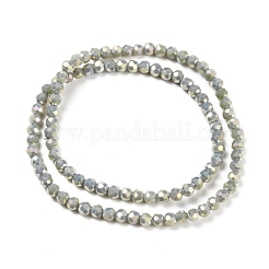 Faceted(32 Facets) Round Full Rainbow Plated Electroplate Glass Beads Strands&nbsp;EGLA-J130-FR16