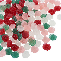 60Pcs 4 Colors Frosted Trabsparent Resin Cabochons&nbsp;RESI-TA0005-09