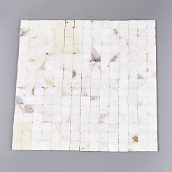 Natural Freshwater Shell Mosaic Tiles Cabochons&nbsp;SHEL-Q029-06