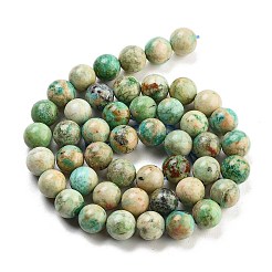 Natural Peruvian Turquoise(Jasper) Beads Strands&nbsp;G-Z062-A01-02