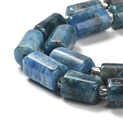Natural Apatite Beads Strands&nbsp;G-N327-06-27