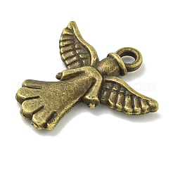 Tibetan Style Alloy Pendants&nbsp;TIBE-I026-5991AB