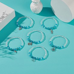 6Pcs 6 Style Synthetic Turquoise & Glass Beaded Stretch Bracelets Set&nbsp;BJEW-JB08995