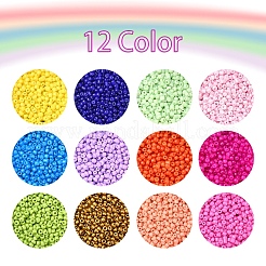 226.8g 12 Color 12/0 Baking Paint Glass Seed Beads&nbsp;SEED-YW0001-78