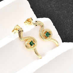 Snake Brass Micro Pave Cubic Zirconia Stud Earrings&nbsp;EJEW-A135-09G