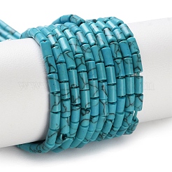 Dyed Synthetic Turquoise Beads Strands&nbsp;G-B124-A03-01