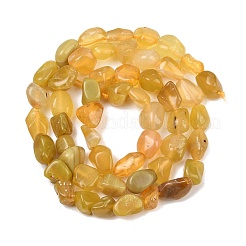 Natural Yellow Opal Beads Strands&nbsp;G-P497-01C-37