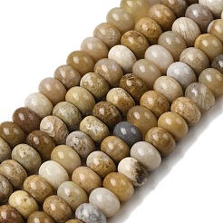 Natural Fossil Coral Beads Strands&nbsp;G-A280-A08-01