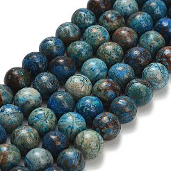 Natural Chrysocolla Beads Strands&nbsp;G-C289-B02-10mm