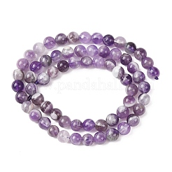 Natural Chevron Amethyst Beads Strands&nbsp;G-P428-04A-6mm