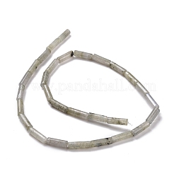 Natural Labradorite Beads Strands&nbsp;G-D464-08