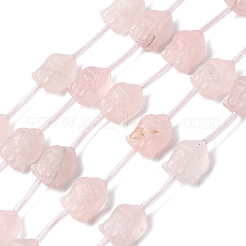 Natural Rose Quartz Beads Strands&nbsp;G-K382-E01-01