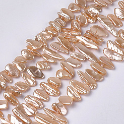 Electroplate Shell Pearl Beads Strands&nbsp;SSHEL-S261-01