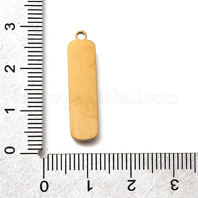 304 Stainless Steel Pendants&nbsp;STAS-Q348-02B-G-1