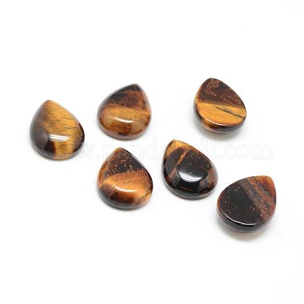 Natural Tiger Eye Gemstone Cabochons&nbsp;G-T024-18x25mm-08-1