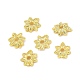 Brass Bead Caps&nbsp;KK-Z030-10G-2