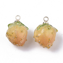 Handmade Epoxy Resin Flower Pendants&nbsp;X-KY-S163-103E