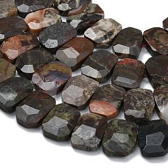 Natural Wealth Stone Beads Strands&nbsp;G-C285-A09-01