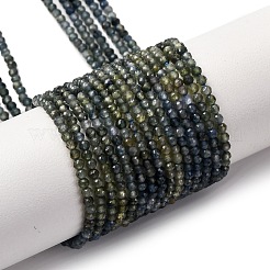 Gradient Color Natural Sapphire Beads Strands&nbsp;G-F803-A01-01A