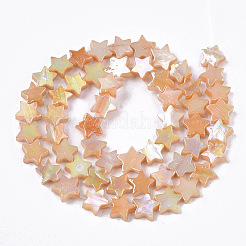 Freshwater Shell Beads Strands&nbsp;X-SHEL-N026-08C