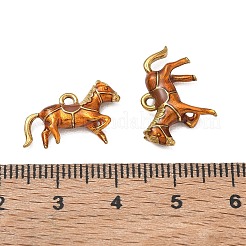 304 Stainless Steel Enamel Pendants&nbsp;SA-CBA0550-36G-04