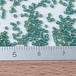 MIYUKI Delica Beads Small&nbsp;SEED-X0054-DBS0859