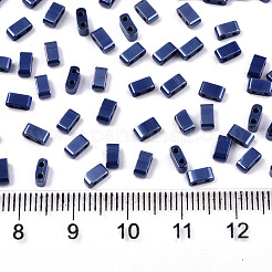 FGB 2-Hole Glass Seed Beads&nbsp;SEED-S031-M-SH128