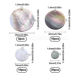 40Pcs 4 Style Black Lip Shell Pendants&nbsp;SSHEL-SC0001-15